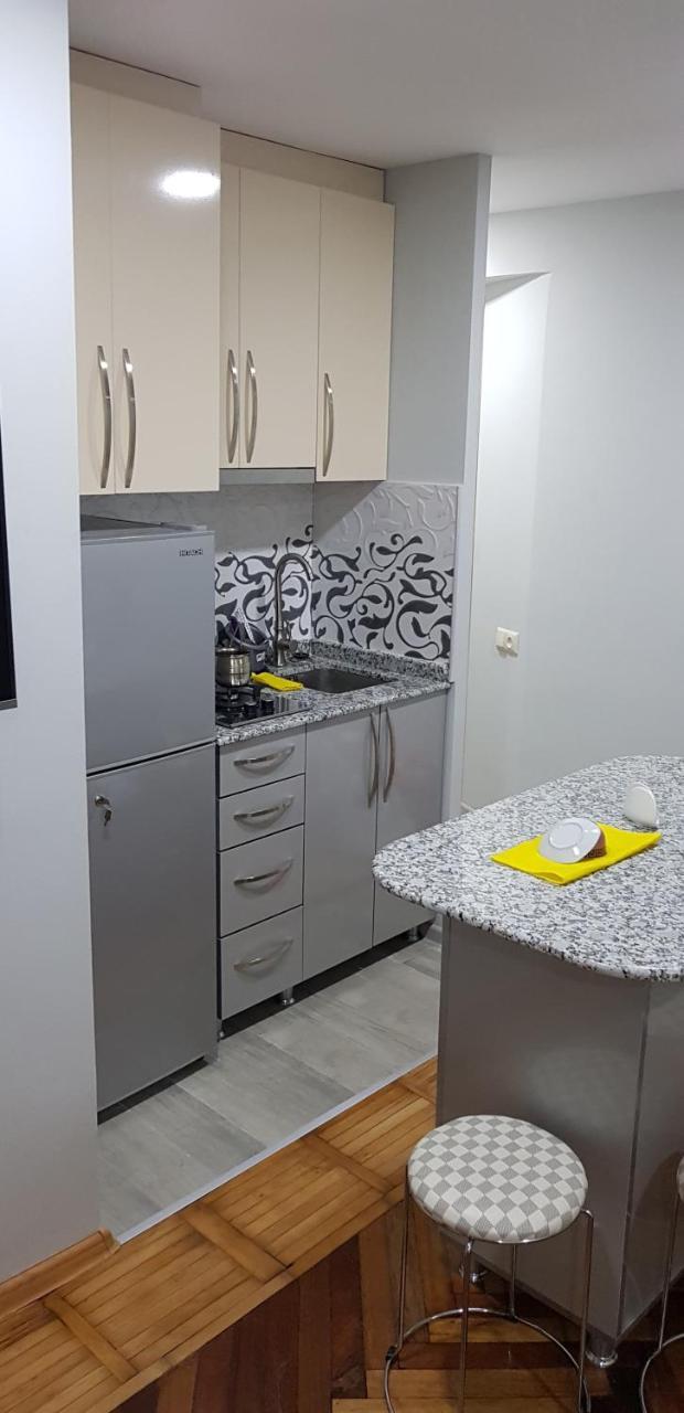 Apartament Shushana Batumi Exteriér fotografie